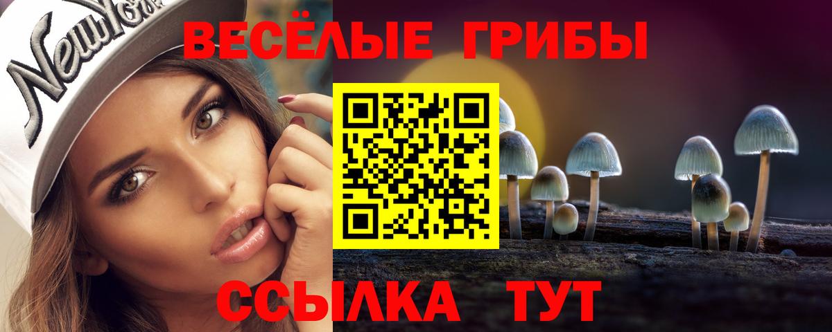 Псилоцибиновые грибы Psilocybine cubensis  Вход с VPN  Новошахтинск 
